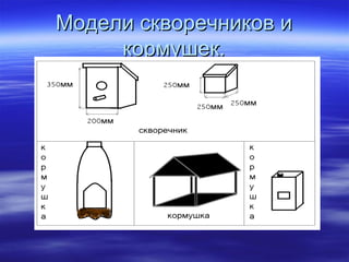 Модели скворечников и кормушек. 
