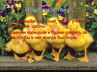 Наши  действия. Мы проведём классный  час  у  учеников  начальной  школы. Повесим кормушки и будем следить за тем что бы в них всегда был корм.  