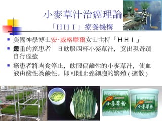 小麥草汁治 癌 理論 「ＨＨＩ」療養機構   美國神學博士 安‧威格摩爾 女士主持 「ＨＨＩ」 嚴重的癌患者每日飲服四杯 小麥草汁 ，竟出現奇蹟自行痊癒 癌患者將肉食停止，飲服偏鹼性的 小麥草汁 ，使血液由酸性為鹼性，即可阻止癌細胞的繁殖 ( 擴散 )  