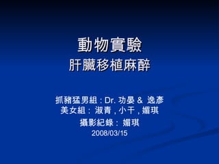 動物實驗 肝臟移植麻醉 抓豬猛男組 : Dr. 功晏 &  逸彥 美女組 :  淑青 , 小干 , 媚琪 攝影紀錄 :  媚琪 2008/03/15 