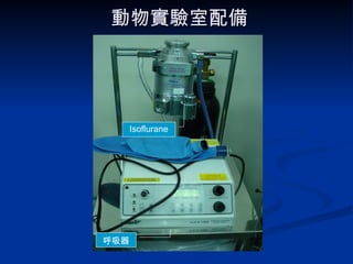 動物實驗室配備 Isoflurane 呼吸器 
