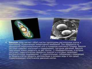 Вакуоли  представляют собой участки гиалоплазмы растительных клеток и простейших, ограниченные элементарной мембраной. Они образуются из расширений эндоплазматической сети и пузырьков комплекса Гольджи. Вакуоли растений содержат клеточный и поддерживают тургурное давление. Вакуоли простейших можно разделить на две группы: 1) пищеварительные, в которые поступают гидролитические ферменты лизосом и в которых происходит внутриклеточное пищеварение; 2) сократительные, собирающие и выводящие за пределы клетки продукты диссимиляции и излишки воды и тем самым поддерживающие осмотическое давление клетки.  