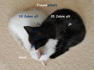 Freund schaft 10 Jahre alt   35 Jahre alt  Ja !   ja Ja ! Ja ! Ja ! Ja !   Nein! 