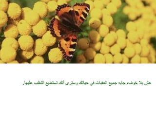 عش بلا خوف، جابه جميع العقبات في حياتك وسترى أنك تستطيع التغلب عليها . 