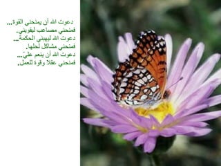 دعوت الله أن يمنحني القوة ...  فمنحني مصاعب ليقويني . دعوت الله ليهبني الحكمة ...  فمنحني مشاكل لحلها . دعوت الله أن ينعم عليّ ...  فمنحني عقلا وقوة للعمل . 