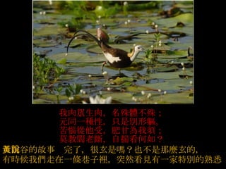 我肉眾生肉，名殊體不殊；  元同一種性，只是別形軀。  苦惱從他受，肥甘為我須；  莫教閻老斷，自揣看何如？  黃山谷的故事說完了，很玄是嗎？也不是那麼玄的，   有時候我們走在一條巷子裡，突然看見有一家特別的熟悉 