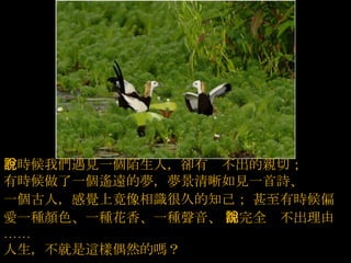 有時候我們遇見一個陌生人，卻有說不出的親切；   有時候做了一個遙遠的夢，夢景清晰如見一首詩、   一個古人，感覺上竟像相識很久的知己；   甚至有時候偏愛一種顏色、一種花香、一種聲音、   卻完全說不出理由 ……   人生，不就是這樣偶然的嗎？   