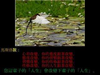 馬斯洛 說：  心若改變，你的態度跟著改變。   態度改變，你的習慣跟著改變。   習慣改變，你的性格跟著改變。   性格改變，你的人生跟著改變。       您這輩子的「人生」會改變下輩子的「人生」。   