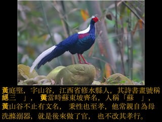 藍腹鷴 國寶級、台灣特有種個人認為此為台灣儀態最美與氣質高貴的鳥種  黃庭堅，字山谷，江西省修水縣人，其詩書畫號稱「三絕」，   與當時蘇東坡齊名，人稱「蘇黃」，黃山谷不止有文名，   秉性也至孝，他常親自為母洗滌溺器，就是後來做了官，   也不改其孝行。  