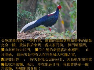 令他詫異的是，一路行來，道路的景緻竟然和夢中的情景   完全一樣，最後終於來到一處人家門前，   但門扉緊閉，黃山谷便前去叩門，   一位白髮的老婆婆出來應門，黃山谷問她，   這兩天是否有人在門外喊人吃麵之事。  老婆婆回答說：「昨天是我女兒的忌日，因為她生前非常   喜歡吃芹菜麵，所以每年在她忌日時，我都會供奉一碗   芹菜麵，呼喊她來食用！」  