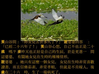 台灣之美 --  菱角鳥 -  水雉  ( 台灣的瀕臨絕種的保育鳥， 專門生長在菱角田中 ) 黃山谷問：「妳女兒去世多久了？」   老婆婆回答說：「已經二十六年了！」   黃山谷心想，自己不也正是二十六歲嗎？   而昨天也正好是自己的生辰，於是更進一步問這婆婆，   有關她女兒在生時的種種情形。  老婆婆說，她只有這麼一個女兒，   女兒在生時非常喜歡讀書，而且信佛茹素，非常孝順，   但就是不肯嫁人，後來在二十六歲時，生了一場病死了，   