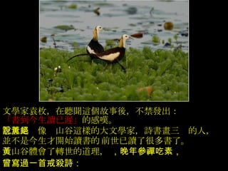 文學家袁枚，在聽聞這個故事後，不禁發出：   「書到今生讀已遲」 的感嘆。  意思是說像黃山谷這樣的大文學家，詩書畫三絕的人，   並不是今生才開始讀書的 ﹐ 前世已讀了很多書了。  黃山谷體會了轉世的道理，   ，晚年參禪吃素，   曾寫過一首戒殺詩：  