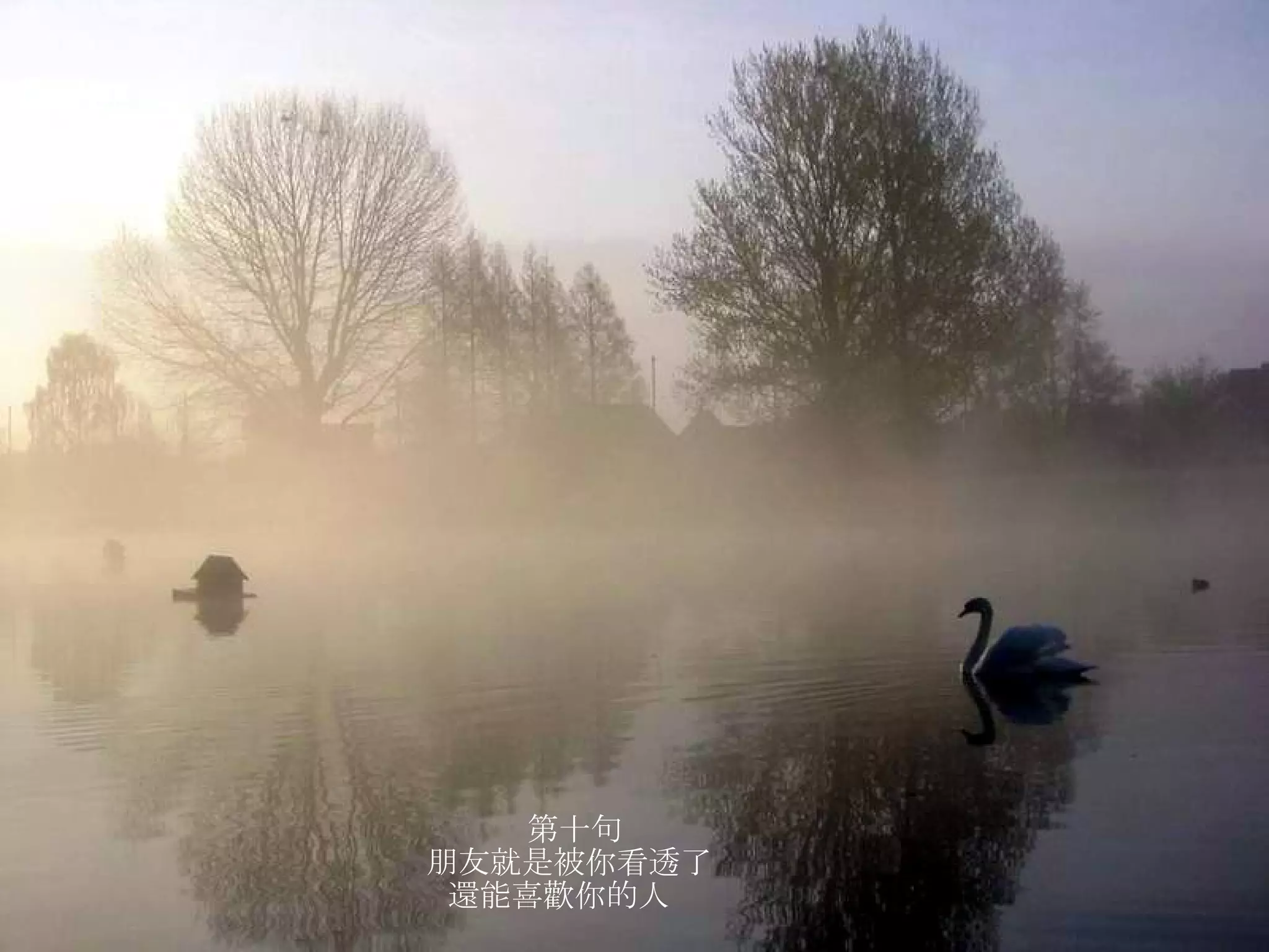 第十句 朋友就是被你看透了  還能喜歡你的人   