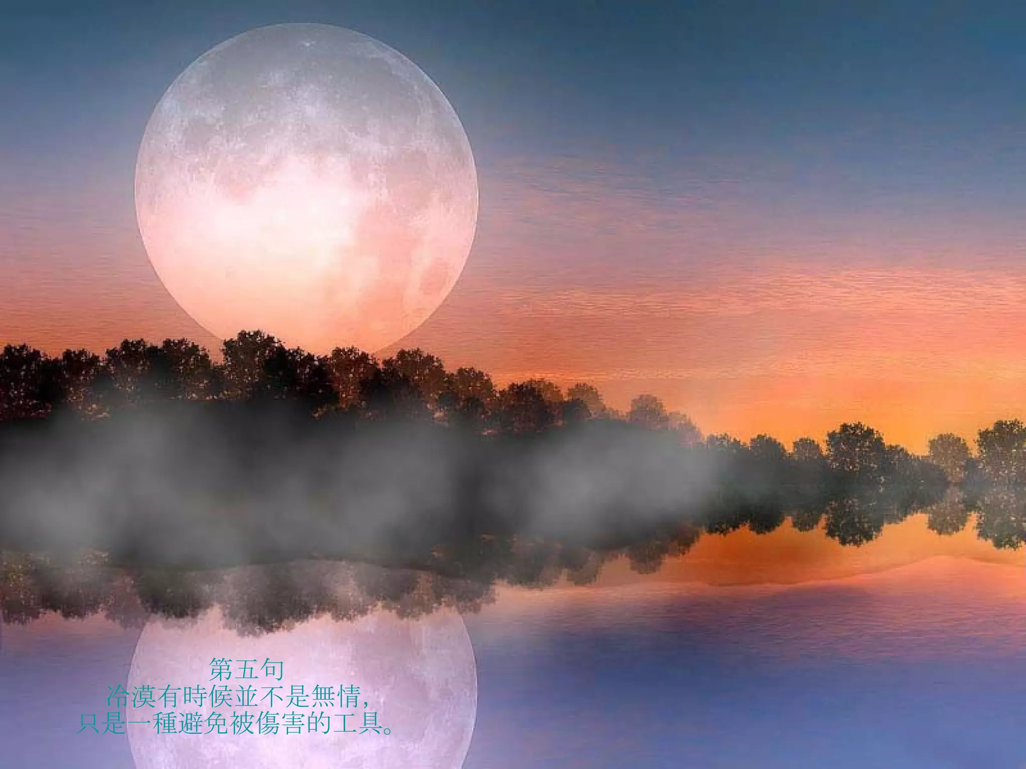 第五句 冷漠有時候並不是無情， 只是一種避免被傷害的工具。   