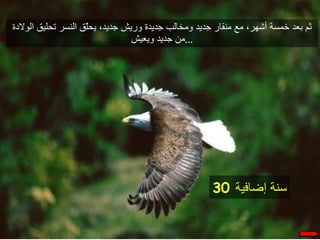 حكاية النسر