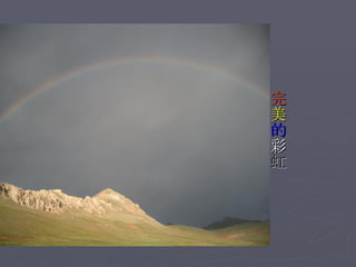 完 美 的 彩 虹 