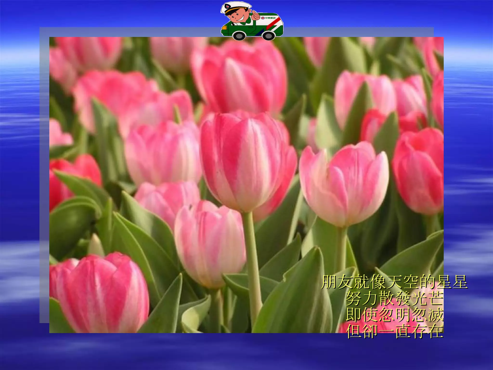 朋友就像天空的星星 努力散發光芒 即使忽明忽滅 但卻一直存在 