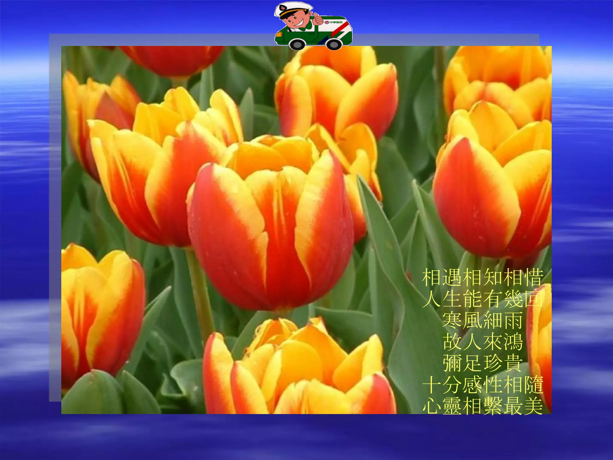 相遇相知相惜 人生能有幾回 寒風細雨 故人來鴻 彌足珍貴 十分感性相隨 心靈相繫最美 