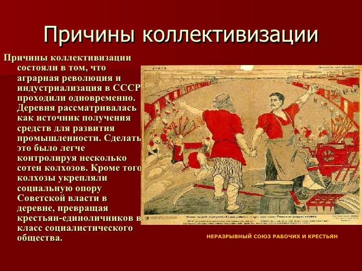 отношение к коллективизации