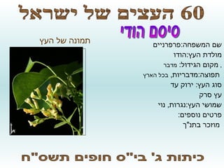 סופי