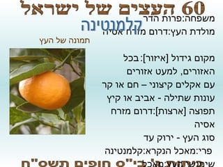 סופי