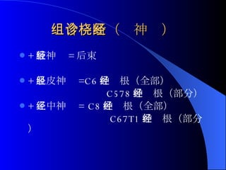 组合诊断（桡神经） + 腋神经 = 后束 + 肌皮神经 =C6 神经根（全部） C578 神经根（部分） + 正中神经 = C8 神经根（全部） C67T1 神经根（部分） 