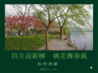 四月迎新柳 杭 州‧西 湖 2007.4.2 – 4.5 桃花舞春風 