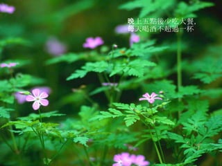 晚上五點後少吃大餐， 每天喝酒不超過一杯 