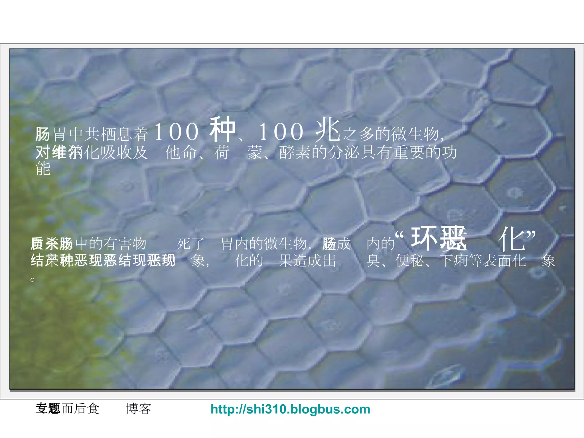 肠胃中共栖息着 100 种 、 100 兆 之多的微生物，对于消化吸收及维他命、荷尔蒙、酵素的分泌具有重要的功能 自来水中的有害物质杀死了肠胃内的微生物， 造成肠内的 “环境恶化” 结果就产生各种恶化的现象，恶化的结果造成出现恶臭、便秘、下痢等表面化现象。 