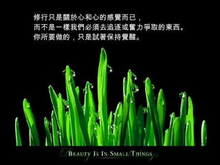 修行只是關於心和心的感覺而已， 而不是一樣我們必須去追逐或奮力爭取的東西。 你所要做的，只是試著保持覺醒。   