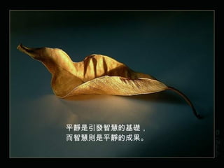 平靜是引發智慧的基礎， 而智慧則是平靜的成果。   