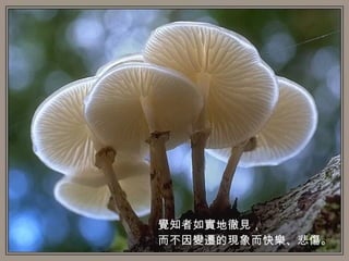 覺知者如實地徹見， 而不因變遷的現象而快樂、悲傷。   