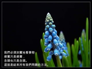 我們必須如實地看事物 感覺只是感覺， 念頭也只是念頭。 這就是結束所有我們問題的方法。   