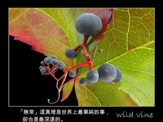 「無常」這真理是世界上最單純的事， 卻也是最深遠的。 