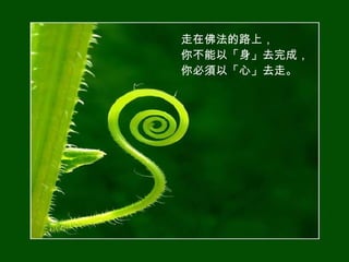 走在佛法的路上， 你不能以「身」去完成， 你必須以「心」去走。   