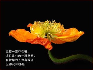 欲望一直存在著， 這只是心的一種狀態。 有智慧的人也有欲望， 但卻沒有 執 著。   