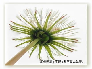 即使連定 ( 平靜 ) 都不該去執著。   