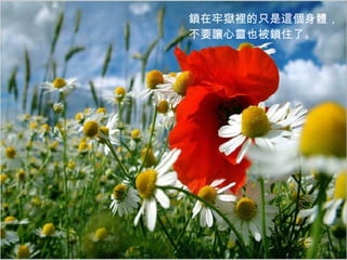 鎖在牢獄裡的只是這個身體， 不要讓心靈也被鎖住了。   