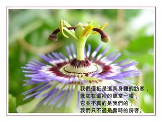 我們僅祇是這具身體的訪客， 就如在這裡的聽堂一樣， 它並不真的是我們的， 我們只不過是暫時的房客。   