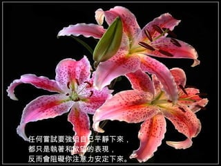 任何嘗試要強迫自己平靜下來， 都只是執著和欲望的表現， 反而會阻礙你注意力安定下來。   