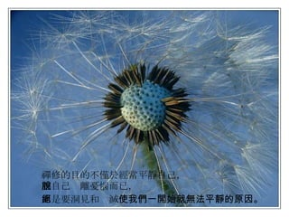 禪修的目的不僅於經常平靜自己， 讓自己脫離憂惱而已， 而是要洞見和絕滅 使我們一開始就無法平靜的原因。 