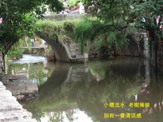 小橋流水  老樹掩映  別有一番清涼感 