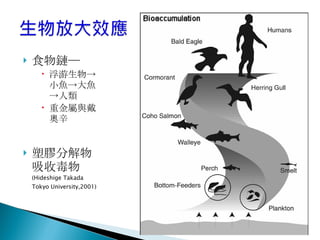 食物鏈─ 浮游生物->小魚->大魚->人類 重金屬與戴奧辛 塑膠分解物吸收毒物  (Hideshige Takada Tokyo University,2001)  
