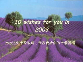 10 wishes for you in 2003 2003 送你十朵玫瑰，代表我給你的十個祝福 