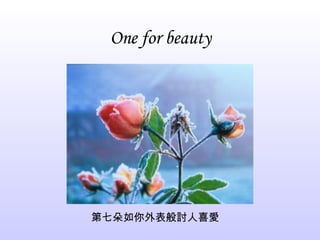 One for beauty 第七朵如你外表般討人喜愛 