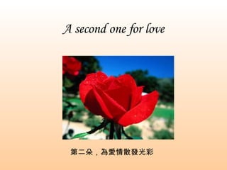 A second one for love 第二朵，為愛情散發光彩 