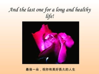 And the last one for a long and healthy life! 最後一朵，祝你有美好長久的人生 