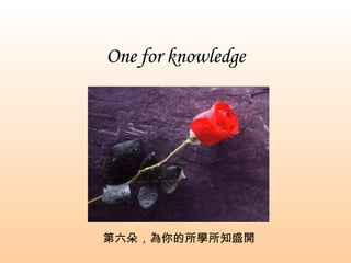 One for knowledge 第六朵，為你的所學所知盛開 