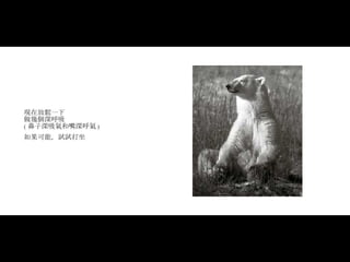 現在放鬆一下 做幾個深呼吸 ( 鼻子深吸氣和嘴深呼氣 )  如果可能，試試打坐   