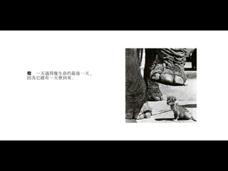 把每一天過得像生命的最後一天 ,   因為它總有一天會到來 . 